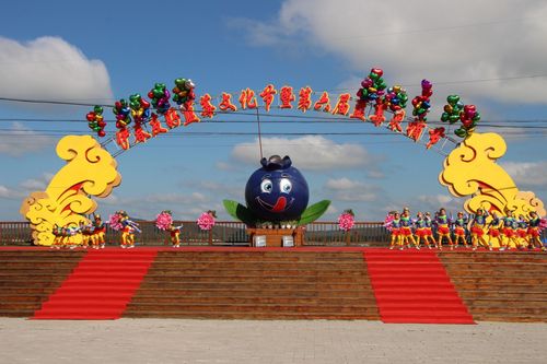 中国·友好 蓝莓文化节大型文化艺术交流活动 - 美篇